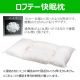 【送料無料】ロフテー快眠枕・パイプ5号 ※かため素材