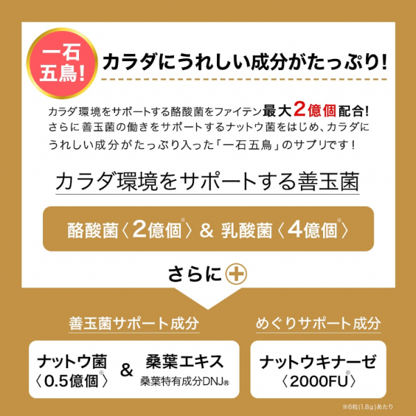 酪酸菌EX＆ナットウキナーゼ　2袋